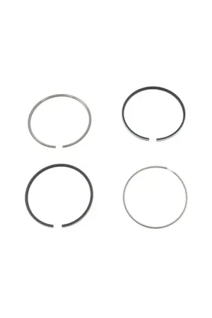 Bobcat 6684804 Ring Affordable